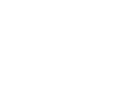 Hunter Jumper Riding Lessons offered to beginner, intermediate and advanced riders.